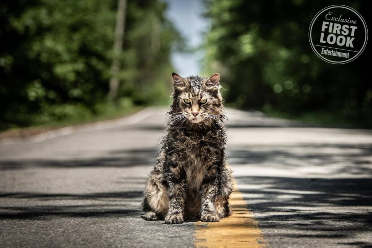 Tristeza e muito terror. Considero um dos livros mais assustadores de Stephen King, o Cemitério de 1983 teve sua primeira adaptação em 1989, sendo muito criticada na época por conta da produção estilo trash. Hoje virou um filme cult.