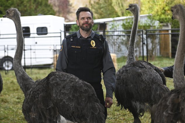 "Animal Control é renovado para a 3ª temporada na Fox, antes da estreia da 2ª temporada"