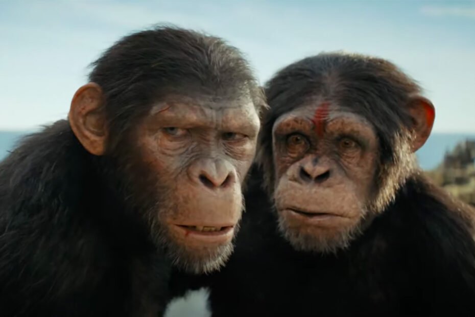 Terra Revelada no Trailer do Super Bowl de O Reino do Planeta dos Macacos