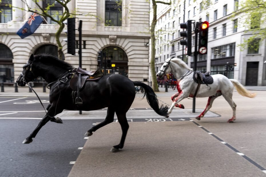 Caos em Londres: Cavalos ensanguentados causam pânico nas ruas