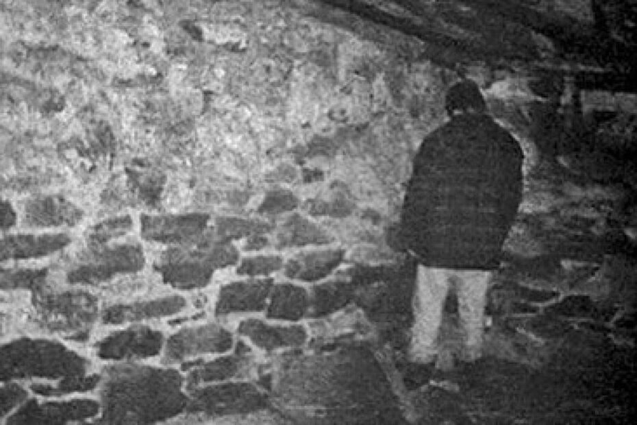 Elenco Original de The Blair Witch Project Solicita Pagamento de Resíduos Retroativos e Consulta para Futuros Projetos