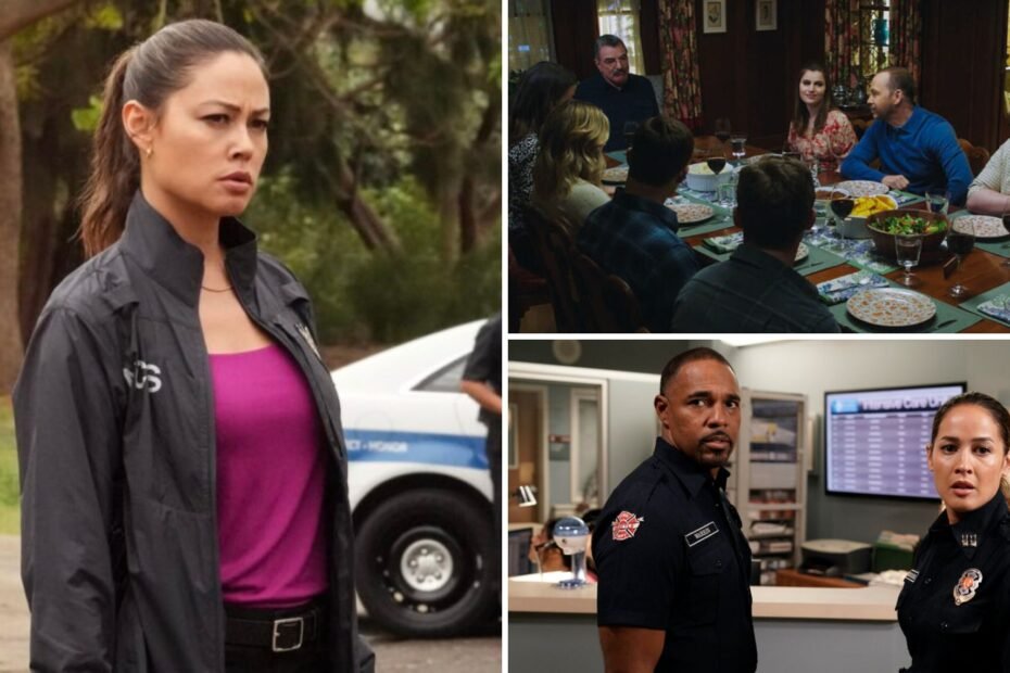 Fim de séries populares: Adeus a ‘Blue Bloods’ e ‘NCIS: Hawai’i’