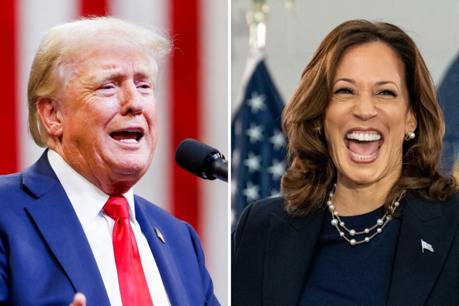 Crush de Donald Trump por Kamala Harris é abordado no 'Daily Show'