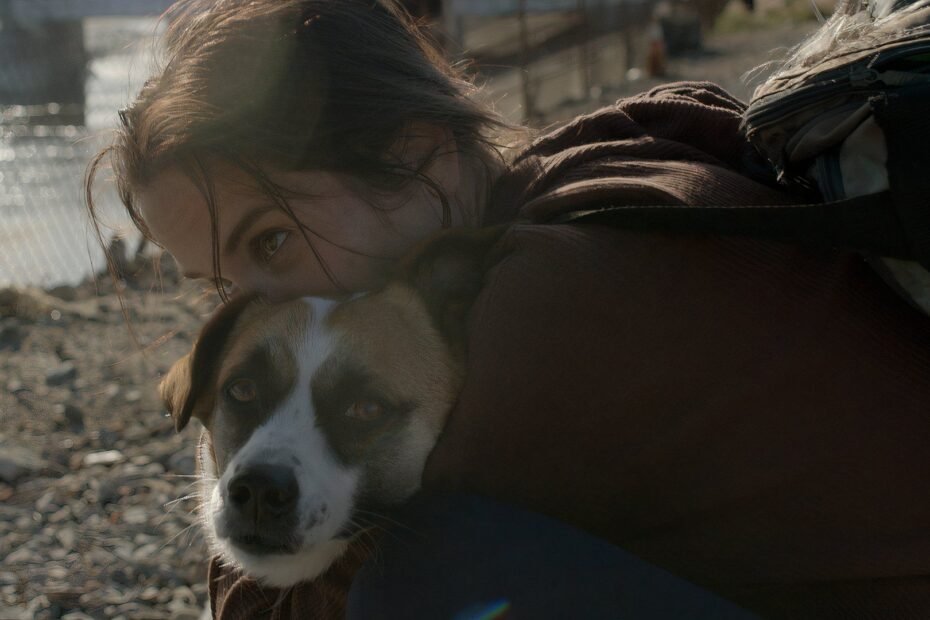 A Luta de uma Mulher em Busca de Esperança e Lar