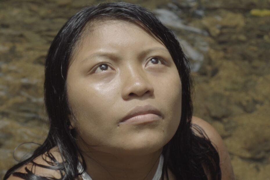 KimStim Leva A América do Norte Documentário Sobre Yanomami