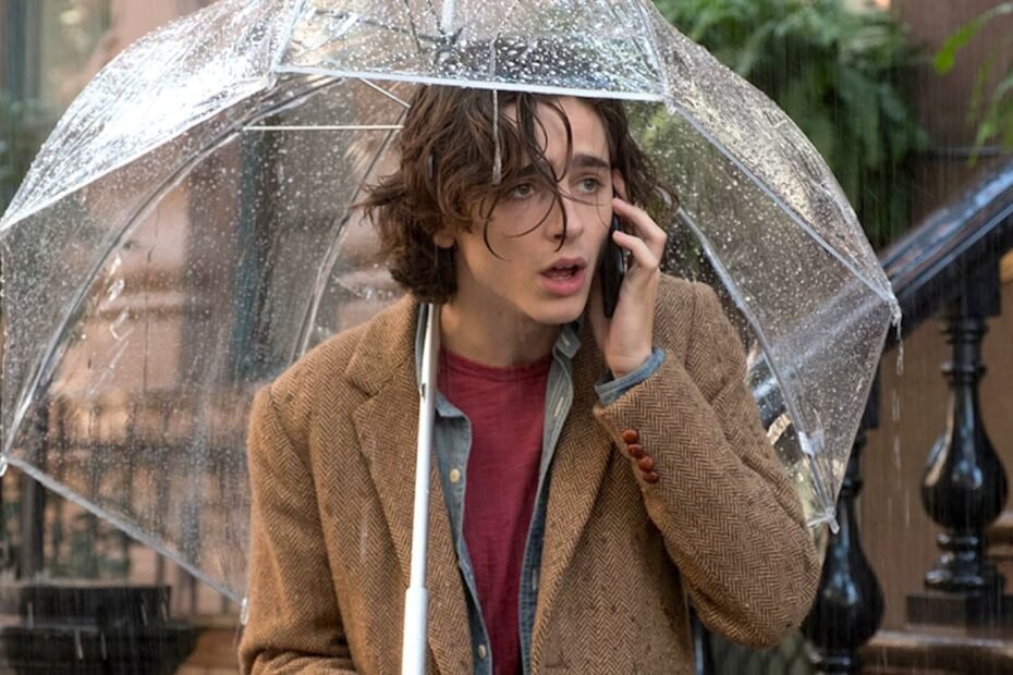 Timothée Chalamet e a rejeição das normas corporais de Hollywood