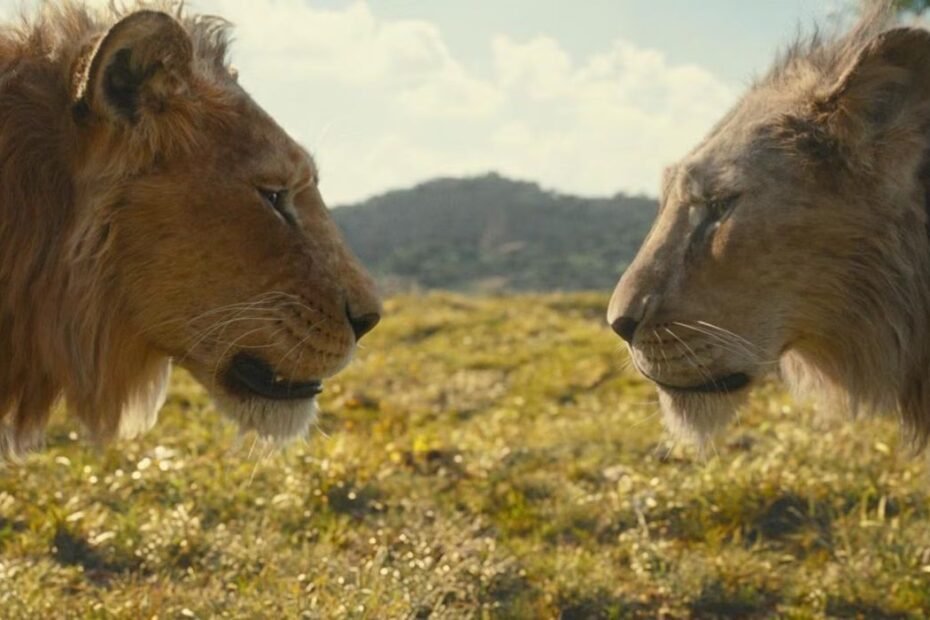 Barry Jenkins traz nova visão em Mufasa, diz Rachel Morrison