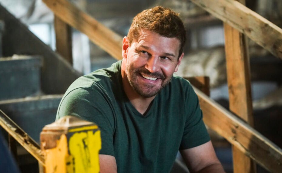 David Boreanaz revela planos após o fim de SEAL Team