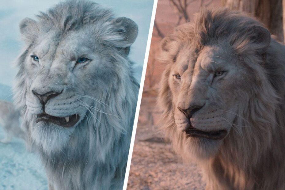 "Mufasa: O Rei Leão" é uma nova produção que se encaixa como uma prequela e sequência do aclamado "O Rei Leão" de 2019, que por sua vez é um remake do clássico de animação de 1994. Neste filme, Rafiki narra a história de Mufasa (interpretado por Aaron Pierre) para sua neta, Kiara (Blue Ivy Carter). Ao longo da narrativa, o público pode entender como Mufasa ascendeu ao trono das Terras do Orgulho, o que levou à rivalidade com seu irmão Scar, anteriormente conhecido como Taka (Kelvin Harrison Jr.). Disney Ressuscita Polêmica com Vilão Leão Branco em Mufasa