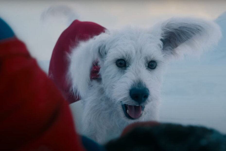 O trailer do novo filme "Superman" de James Gunn finalmente foi lançado, trazendo um senso de renovação para os fãs do Homem de Aço. O longa, que estreia em 11 de julho de 2025, apresenta David Corenswet como Superman, que resgata o lado mais gentil e heroico do personagem. Mas a grande estrela do trailer é, sem dúvida, Krypto, o Supercão, inspirado no próprio cachorro de Gunn. A Nova Versão do Superman Introduz um Personagem Encantador