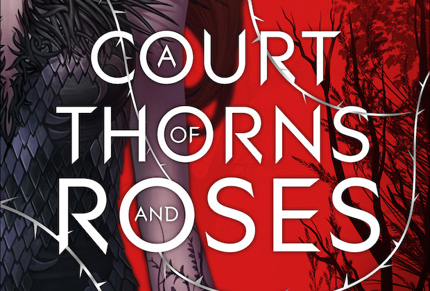 A série "ACOTAR" (A Court of Thorns and Roses) que estava em desenvolvimento na Hulu, não avançará. A adaptação, que gerou expectativa desde seu anúncio em 2021, chegou a um impasse, confirmando que não seguirá adiante, de acordo com fonte próxima ao TVLine. Apesar de esforços para trazê-la à vida, a Hulu, de propriedade da Disney, e a 20th Television não comentaram a decisão. Fim da jornada: ACOTAR não seguirá adiante no Hulu