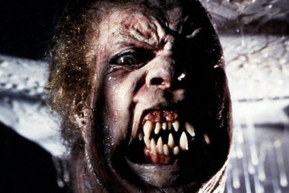 O renomado cineasta de horror John Carpenter, famoso por clássicos como Halloween e O Enigma do Outro Mundo, fará seu retorno, mas não como diretor. Ele foi convidado para compor a trilha sonora do novo filme de ação e horror do aclamado diretor Bong Joon-ho, conhecido por Parasita. John Carpenter volta à música para novo filme de Bong Joon-ho