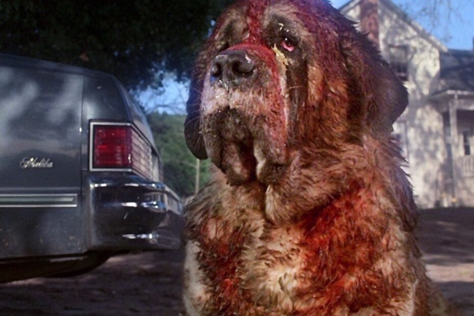 Novo "Cujo": Netflix revive um clássico de Stephen King!