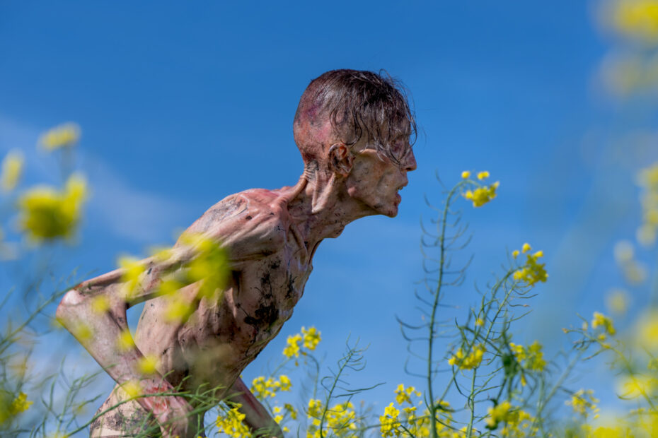 "28 Anos Depois: A Vida e a Morte em suas Diversas Facetas"