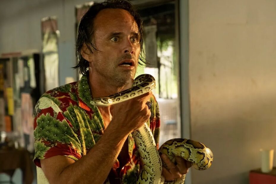 A terceira temporada de "The White Lotus", que se passou em um luxuoso resort na Tailândia, trouxe uma conclusão impactante após oito episódios repletos de tensão e intrigas entre os ricos apostadores. A trama foi conduzida principalmente pela história de amor de Rick e Chelsea, que culminou em um final chocante com uma morte inesperada. Amor e traição: a chocante reviravolta de The White Lotus