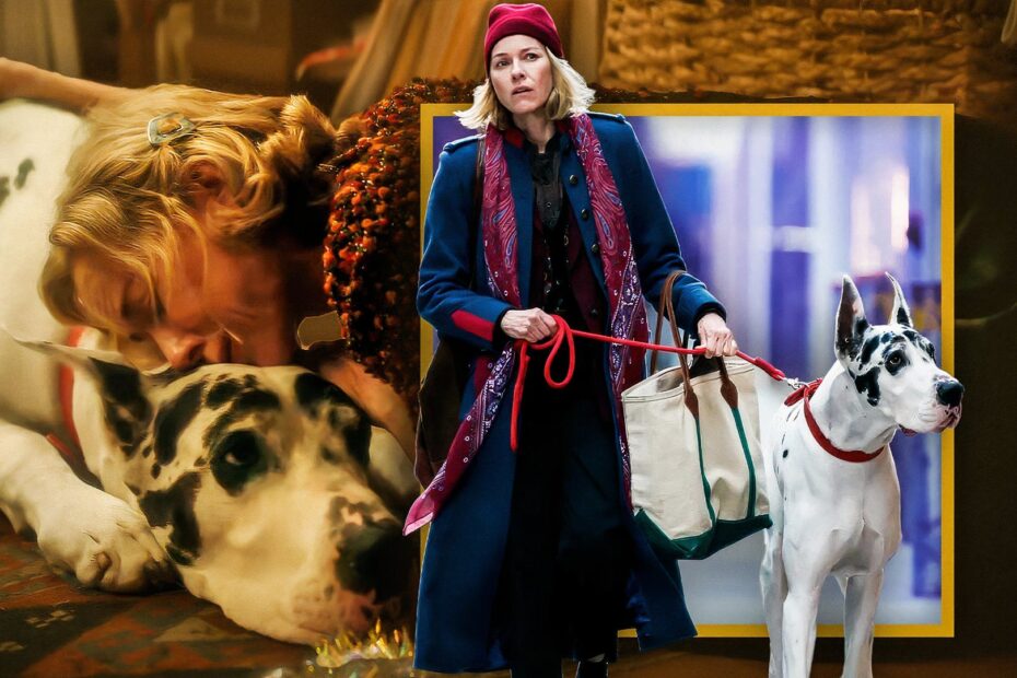 O Filme Estrelado por Naomi Watts Como os Diretores de The Friend Nomearam os Personagens de Naomi Watts e Bill Murray