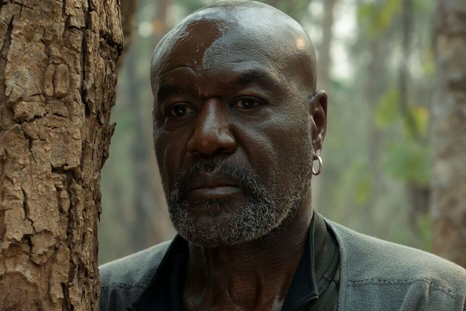 **Delroy Lindo em Da 5 Bloods: Uma Performance Impactante** Delroy Lindo: A Força Emocional em Filme de Spike Lee