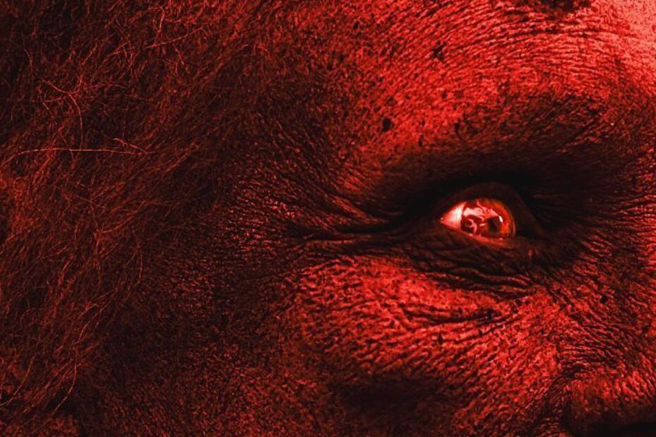 Atualmente, nas salas de cinema, um filme de zumbis chamado "Parvulos: Children Of The Apocalypse" está chamando atenção e merece ser visto. A trama gira em torno de Salvador, o mais velho de três irmãos, que começa sua jornada com um grande desafio: ele perdeu uma perna e depende de muletas para se locomover. O que parece um dia normal logo se transforma em uma luta pela sobrevivência em um cenário apocalíptico. O Melhor Filme de Zumbis que Você Ainda Não Conhece