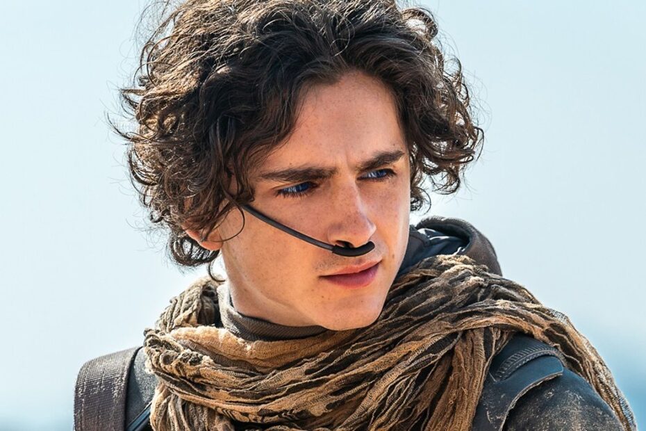 A franquia Duna está prestes a expandir seu elenco com a adição de um novo ator de peso: Robert Pattinson. O filme, intitulado "Dune: Messiah", será a terceira parte da série, dirigida e roteirizada por Denis Villeneuve, e baseada no livro homônimo de Frank Herbert. Robert Pattinson entra na saga de Duna como novo antagonista