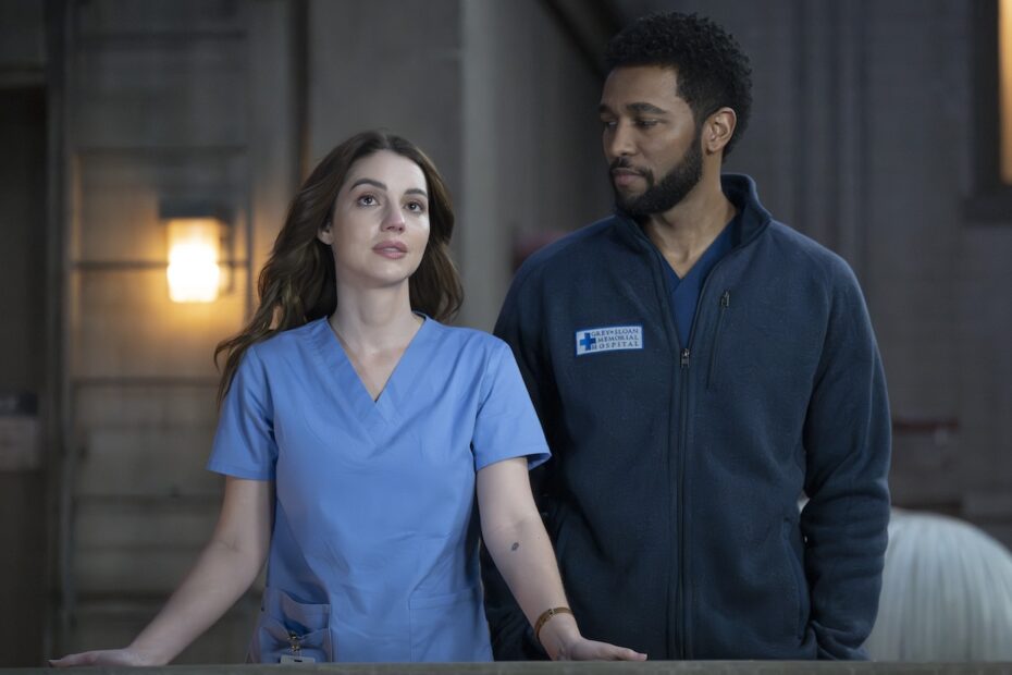 Um novo amor à vista? O surpreendente par de Grey's Anatomy!
