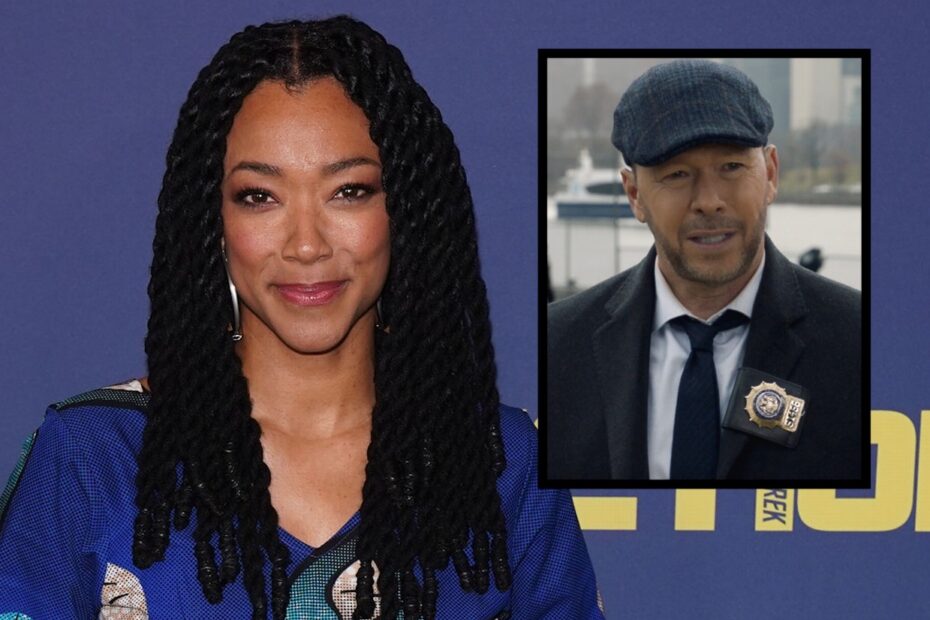 Sonequa Martin-Green é a mais nova adição ao elenco da série derivada de "Blue Bloods", intitulada "Boston". A atriz, conhecida por seu papel em "The Walking Dead" e por sua interpretação em "Star Trek: Discovery", trará seu talento para essa nova produção. Novos Rumos para Blue Bloods com Sonequa Martin-Green