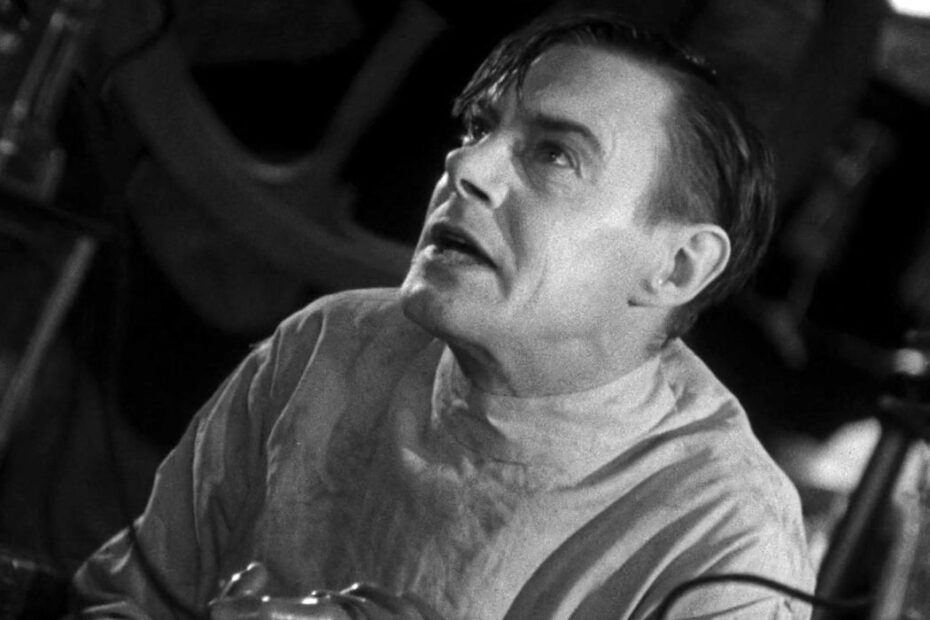 O Legado da Noiva de Frankenstein: Horror e Emoção em Sequência