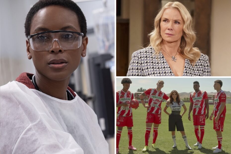 A ausência de Tracy Ifeachor na segunda temporada de "The Pitt" gerou várias especulações entre os fãs. A personagem da atriz, que teve um destaque notável na primeira temporada, não estará presente nos novos episódios, e isso levantou questões sobre sua volta ou o futuro da série. O que nos surpreende nas novas surpresas da TV?