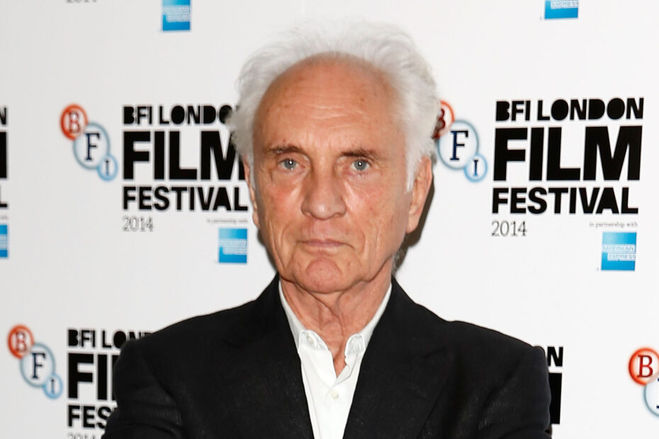 Lenda do Cinema: A Vida e a Trajetória de Terence Stamp, ícone de 'Superman' e 'Priscilla, Rainha do Deserto'