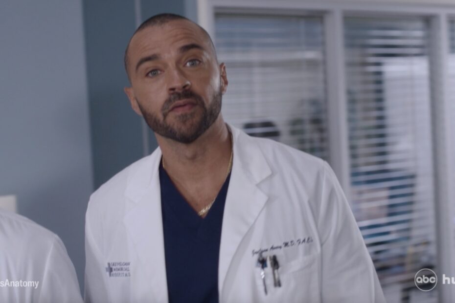 Grey's Anatomy: Retornos Marcantes e Novidades de Temporada "Grey's Anatomy: A Retorno Surpreendente de Jesse Williams e a Chegada dos Gêmeos Agitam a Temporada"