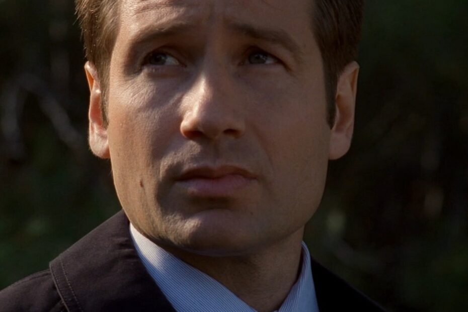 A Saída e Retorno de David Duchovny em The X-Files: Um Enredo de Mistérios e Conflitos Do Adeus ao Retorno: A Jornada de David Duchovny em X-Files