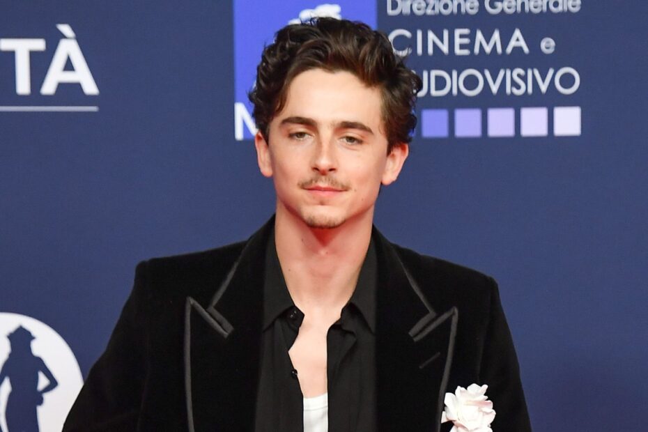 Timothée Chalamet Abre o Coração Sobre Suas Derrotas no Oscar: “As Pessoas Podem Me Chamar de Try-Hard” Timothée Chalamet: A Luta Emocional por Reconhecimento no Oscar