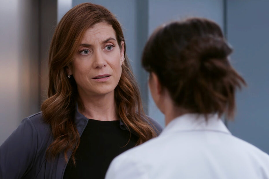 Kate Walsh Retorna a Grey's Anatomy e Novidades de Elenco em Séries Kate Walsh e Kit Harington agitam o mundo das séries!