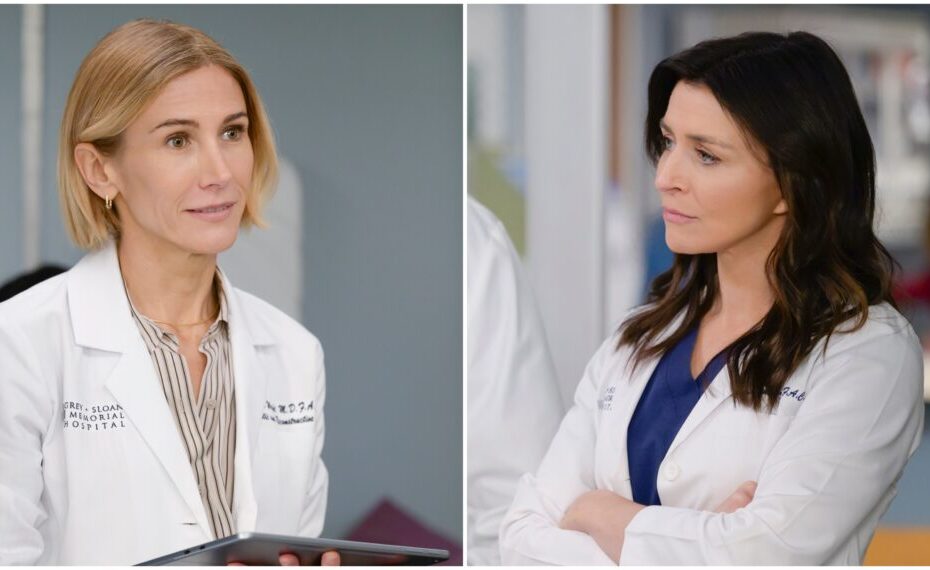 Amelia Shepherd ganha novo interesse amoroso em Grey’s Anatomy: quem é Dr. Toni Wright? Amelia Shepherd encontra novo amor em Grey's Anatomy com Toni Wright
