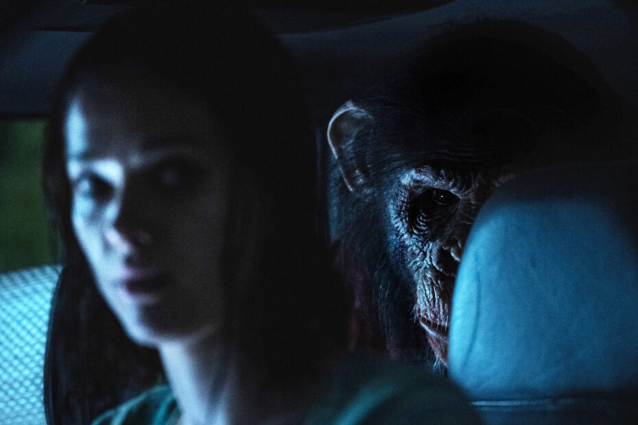 Descubra Como Assistir ao Filme de Terror "Primate" em Casa Assista ao aterrorizante filme Primate em casa em breve