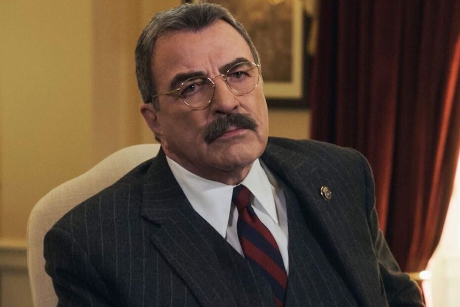 15 Melhores Séries de TV Semelhantes a Blue Bloods Séries Imperdíveis que Vão Te Prender Como Blue Bloods