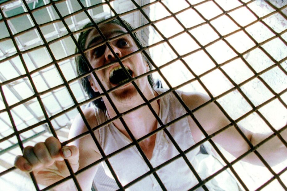 O debate sobre qual é o melhor filme baseado em uma obra de Stephen King já dura décadas entre os fãs. Alguns defendem “The Shining” como a obra-prima máxima, enquanto outros elevam “Misery” ao topo da lista. Seja qual for a escolha, fica claro que existem adaptações que se destacam pela qualidade, fidelidade e impacto no público. Entre todas essas produções, uma certa película mantém uma posição de destaque graças à combinação de êxito de bilheteria, aclamação crítica e respeito pela obra original: “The Green Mile”. A jornada emocional de The Green Mile que transcende o cinema