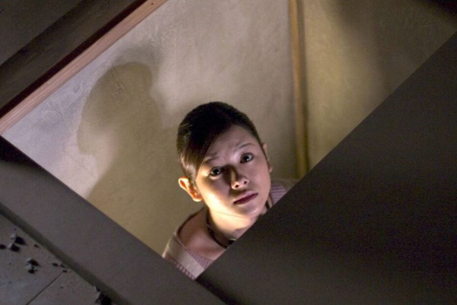 No início dos anos 2000, Sam Raimi realizou uma jogada interessante ao convencer o diretor japonês Takashi Shimizu, responsável por um dos filmes de terror sobrenatural mais elogiados do Japão, a refazer seu próprio trabalho para o público americano. Assim nasceu a versão americana de Ju-On: The Grudge, simplesmente intitulada The Grudge, produzida sob o selo Ghost House Pictures de Raimi. A verdade sobre The Grudge: crítica injusta ou terror marcante?