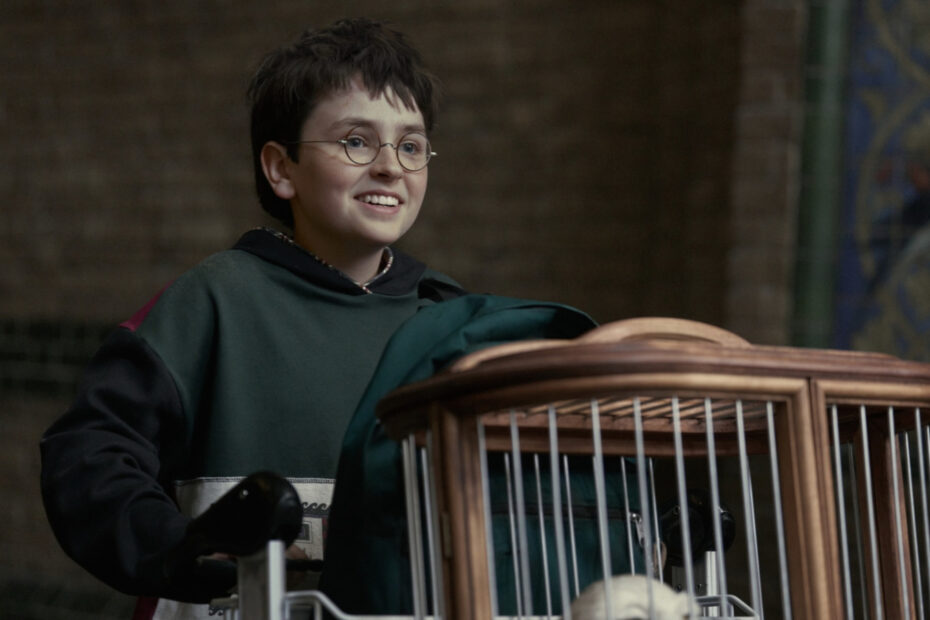 Harry Potter: Críticas ao Trailer da Nova Série da HBO Nova série de Harry Potter enfrenta críticas e expectativas altas