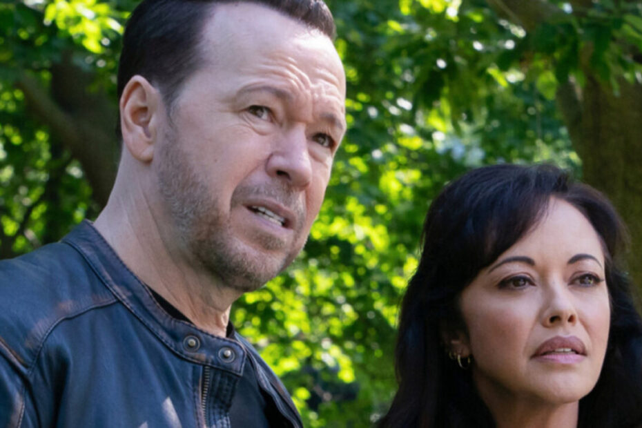 A chegada de Boston Blue nova temporada colocou Danny Reagan e Maria Baez sob o mesmo teto, mas a estabilidade familiar logo foi abalada por uma surpresa perturbadora. No segundo episódio do derivado de Blue Bloods, Dania, a avó biológica de Elena, ressurge com a intenção explícita de fazer parte da vida da neta. Esse reencontro coloca Baez em alerta como mãe adotiva e desperta lembranças terríveis na mente de Danny, que conhece de perto o perigo. Boston Blue nova temporada traz drama para Danny e Baez