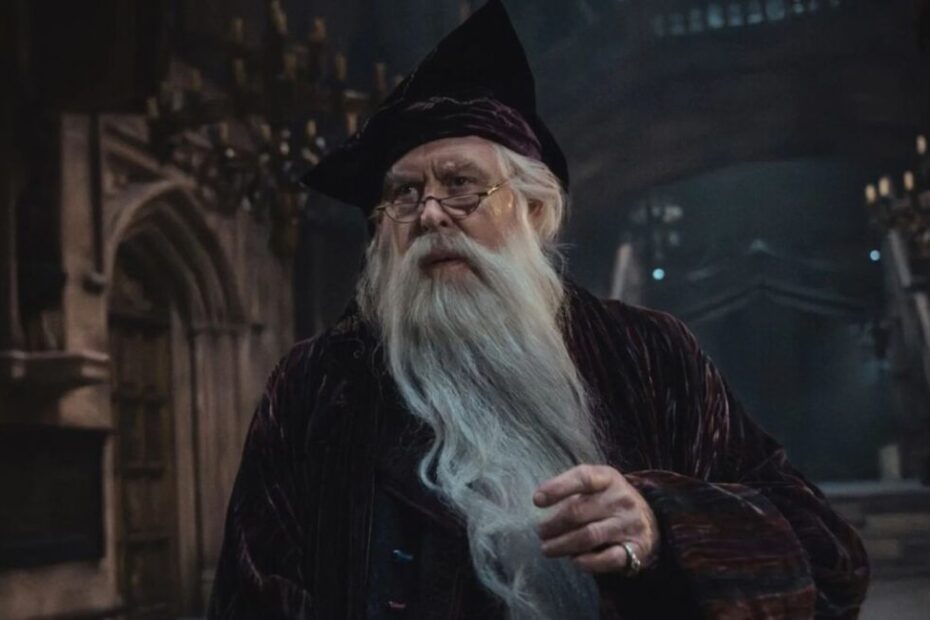 harry potter série hbo